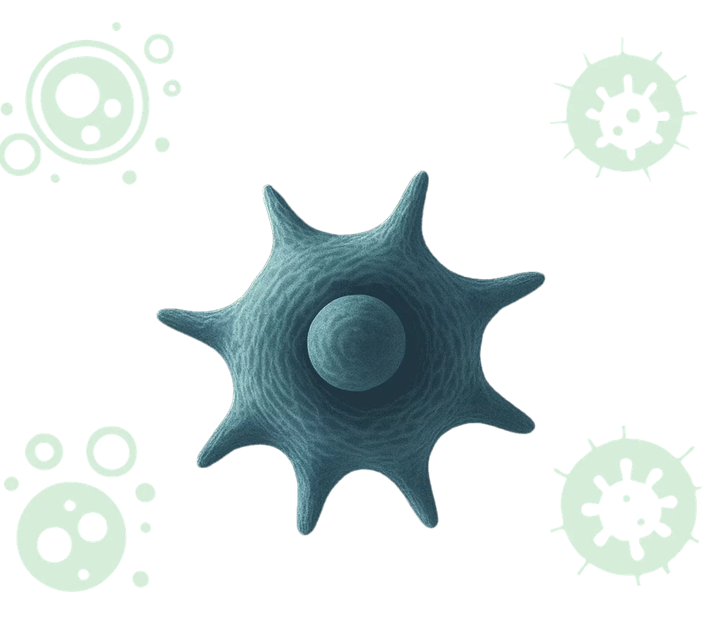 NKCell 01